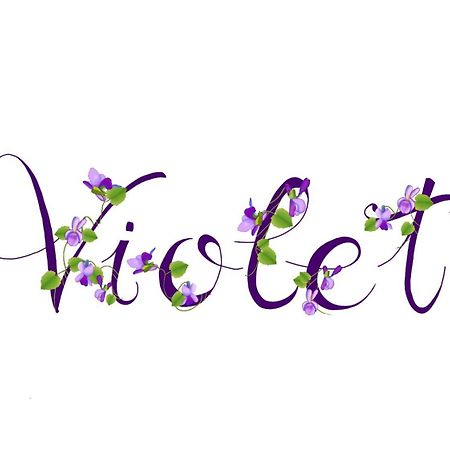 Appartamento Violet - Parma Zewnętrze zdjęcie